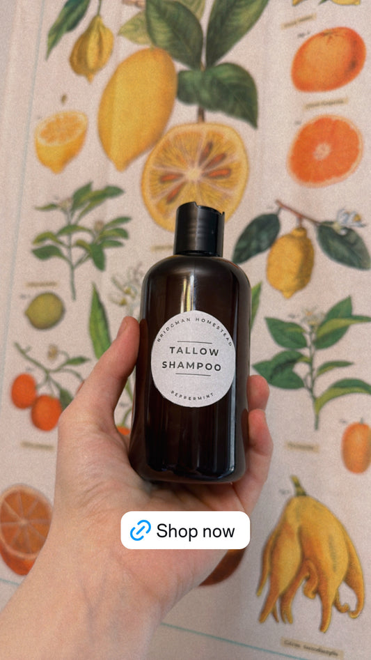 Tallow shampoo