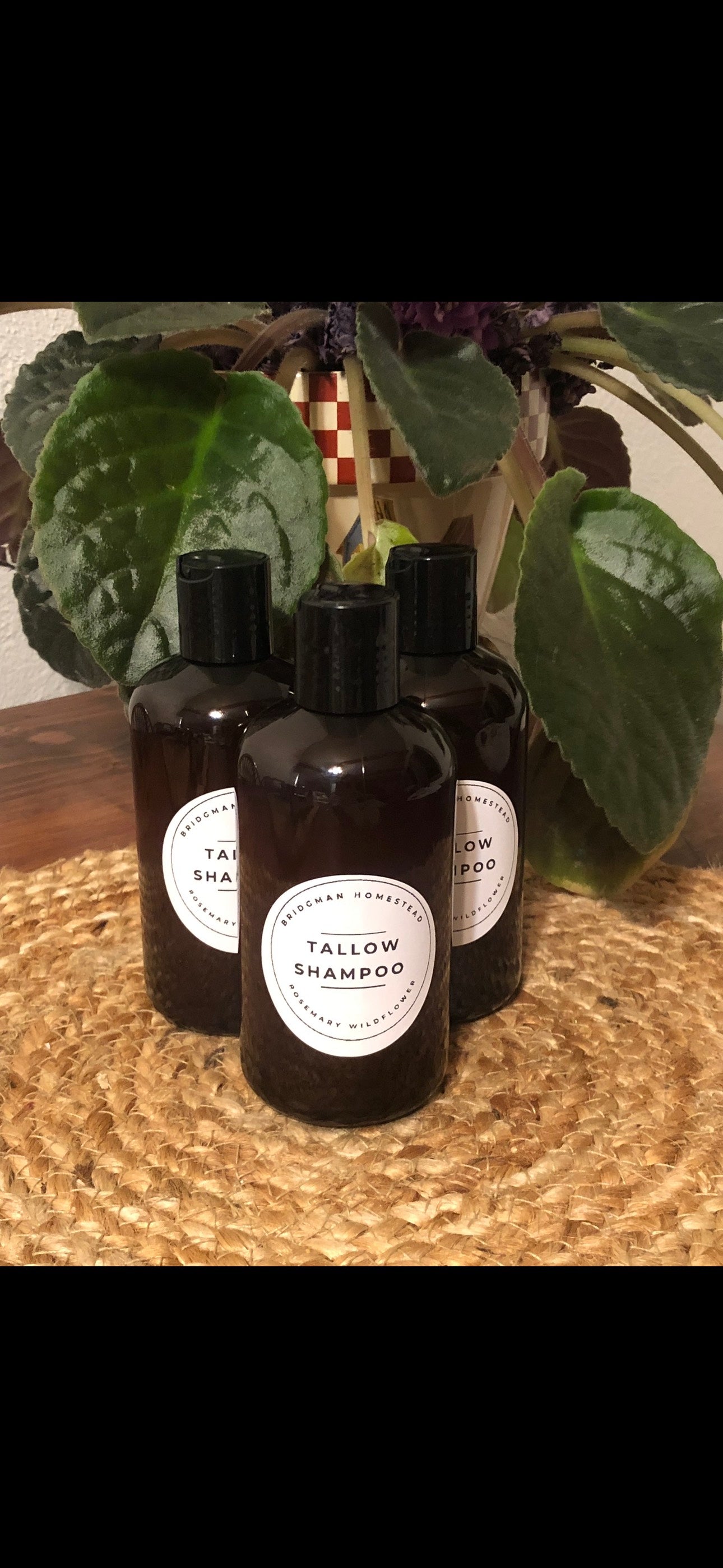 Tallow shampoo